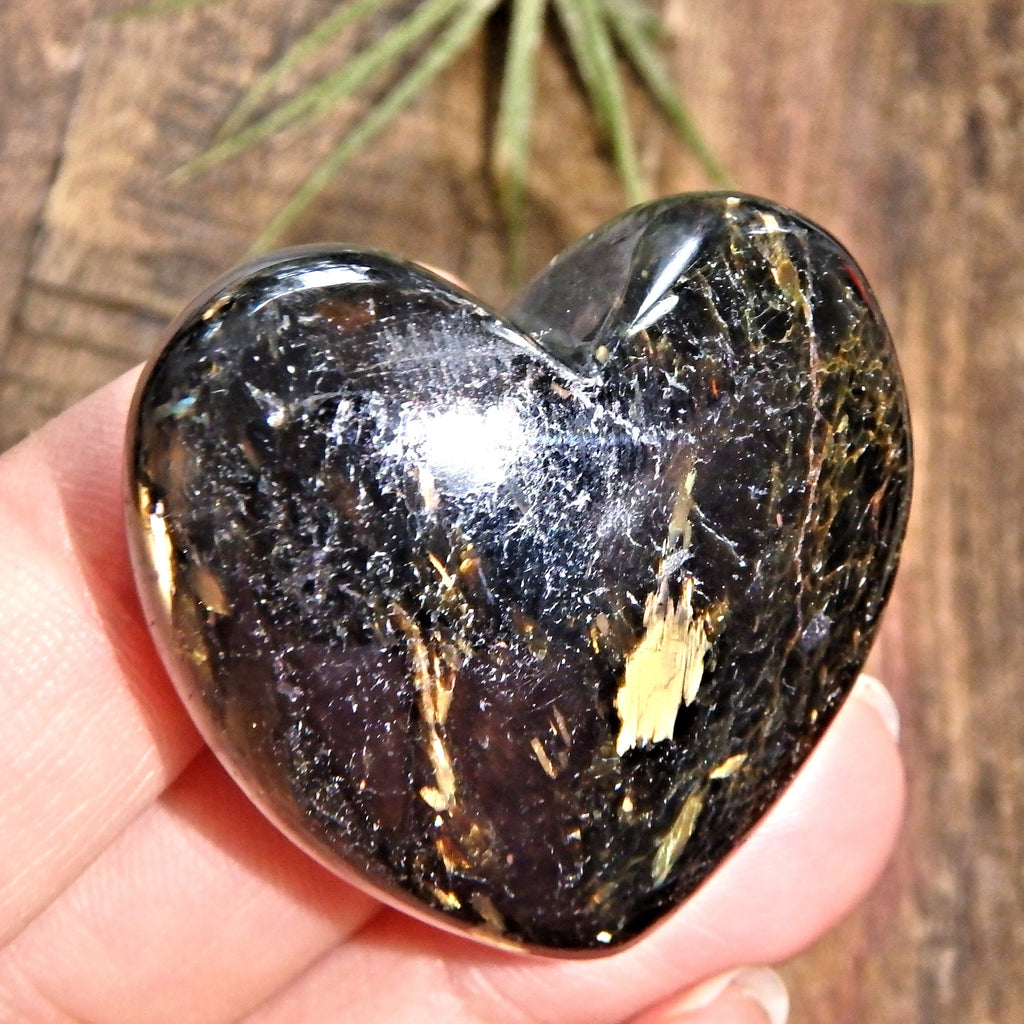 Genuine Greenland Nuummite Heart With Lightening Flashes of Mysterious Color - Earth Family Crystals