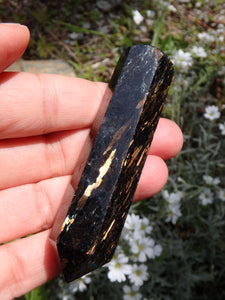 Sorcerer's Stone~ Greenland Nuummite Golden Flashes Wand - Earth Family Crystals