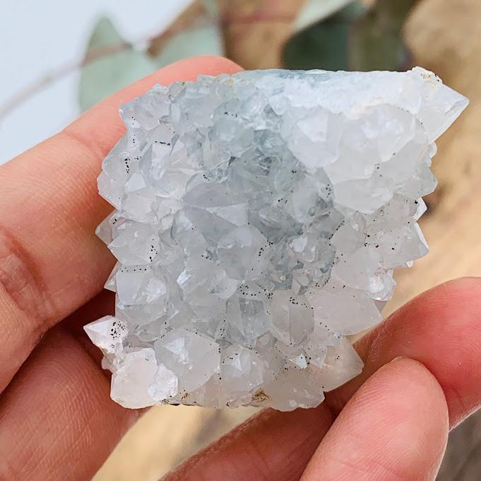 Sparkly Quartz Point Cluster From India