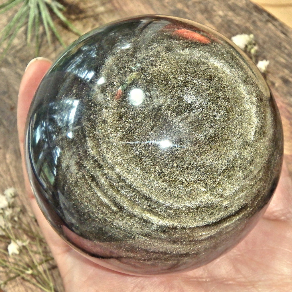 Stunning XL Gold Sheen Obsidian Sphere Carving - Earth Family Crystals