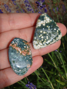 Set of two Pretty Orbs of Color Ocean Jasper Tumble Stones