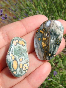 Set of 2 Pretty Orbs of Color Ocean Jasper Tumble Stones