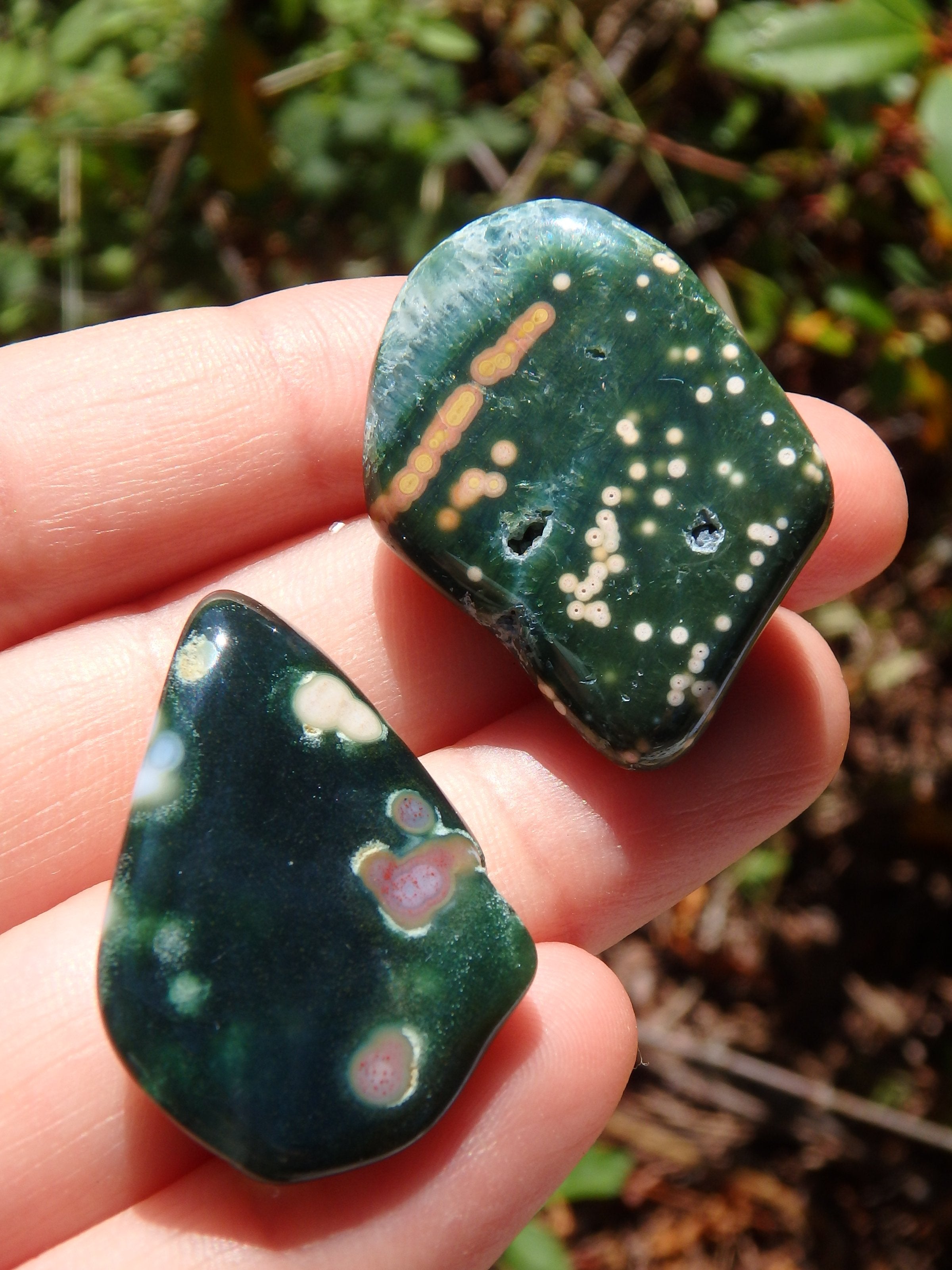 Set of 2~Pretty orbs of Color Forest Green Ocean Jasper Tumbled Stones