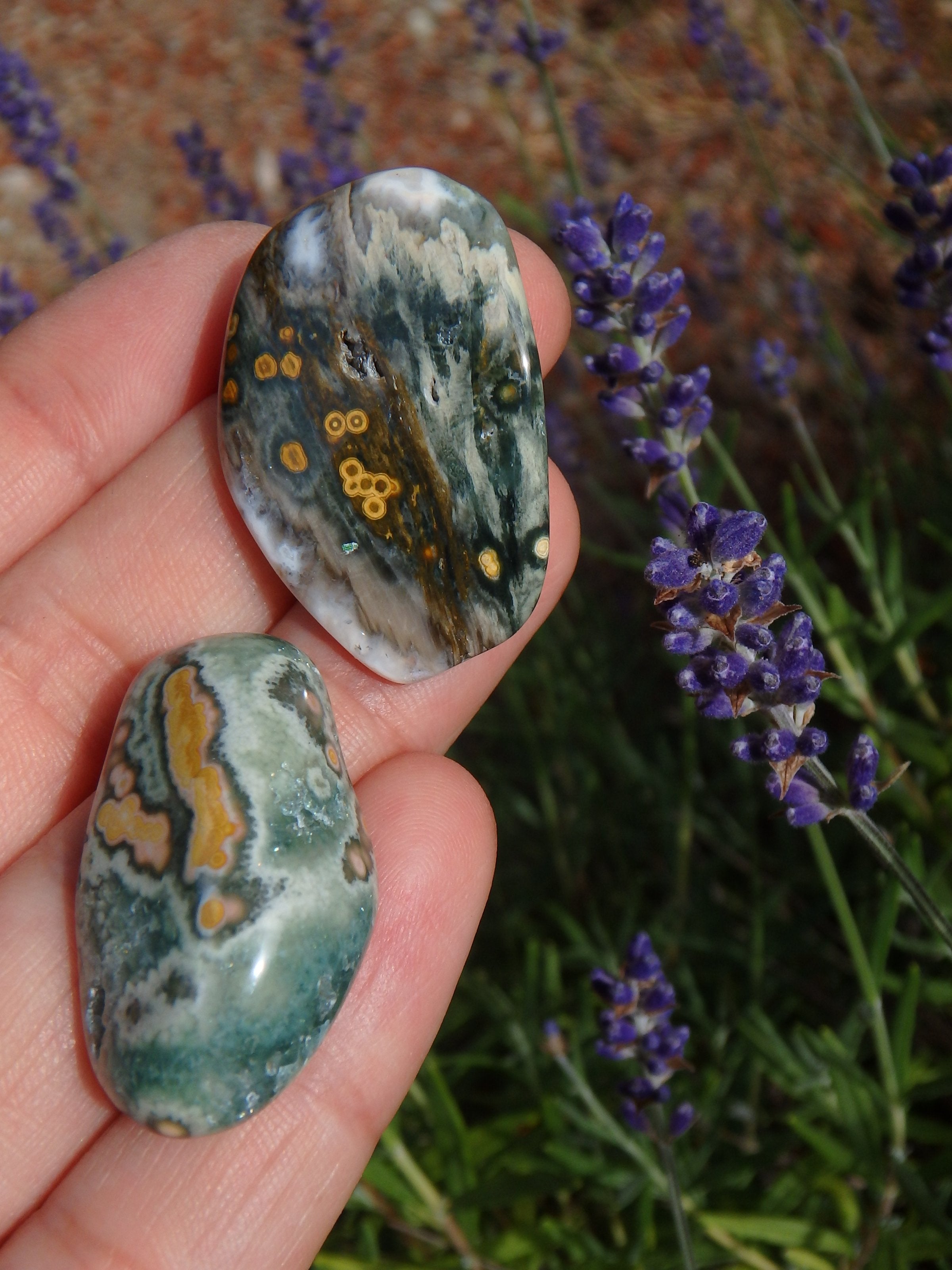 Set of 2 Pretty Orbs of Color Ocean Jasper Tumble Stones