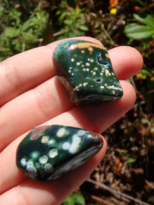 Set of 2~Pretty orbs of Color Forest Green Ocean Jasper Tumbled Stones