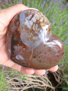 Amazing & Very Rare Unpolished Orbs 3D Depth Ocean Jasper Heart - Earth Family Crystals