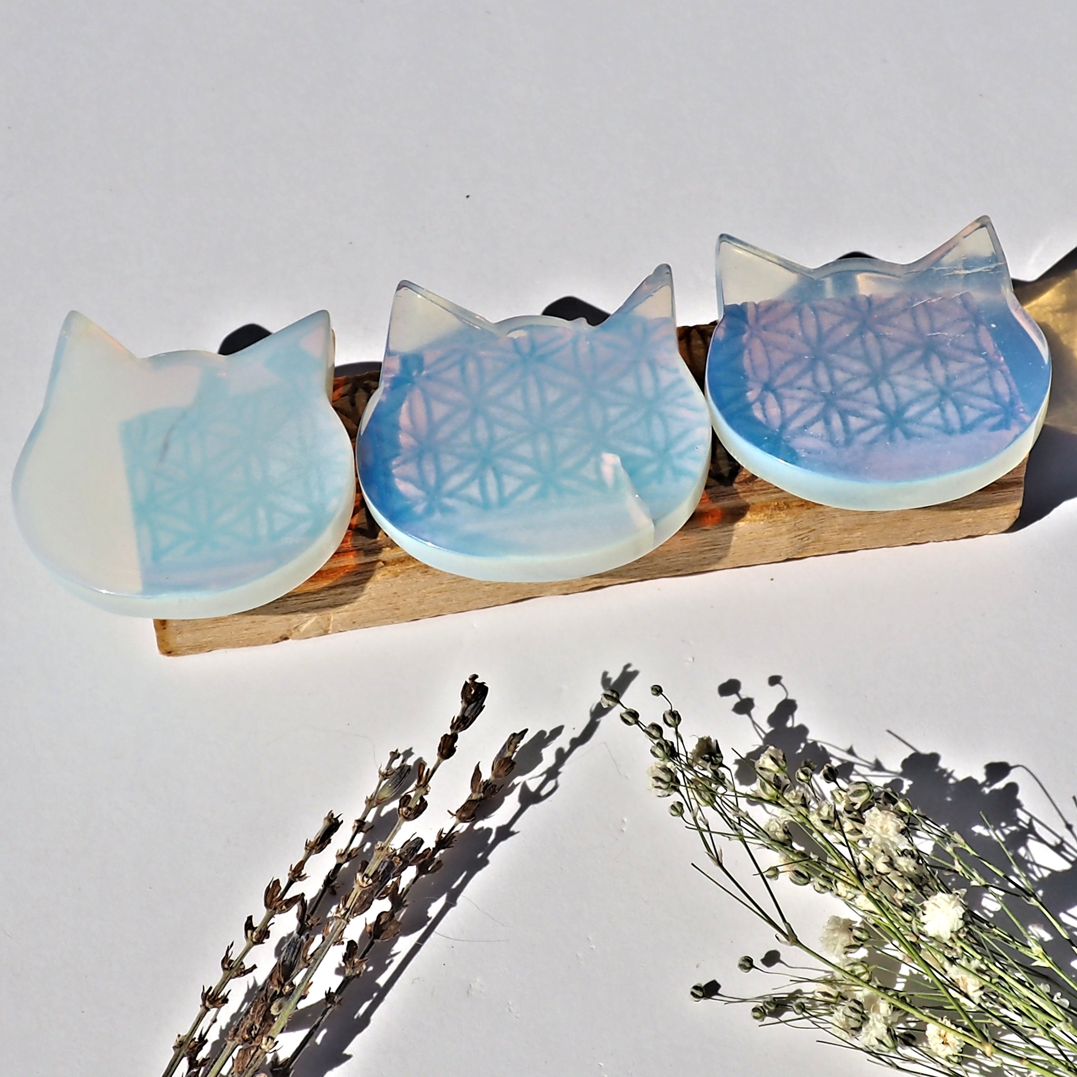 ONE Optical Opalite Cat Carving Specimen