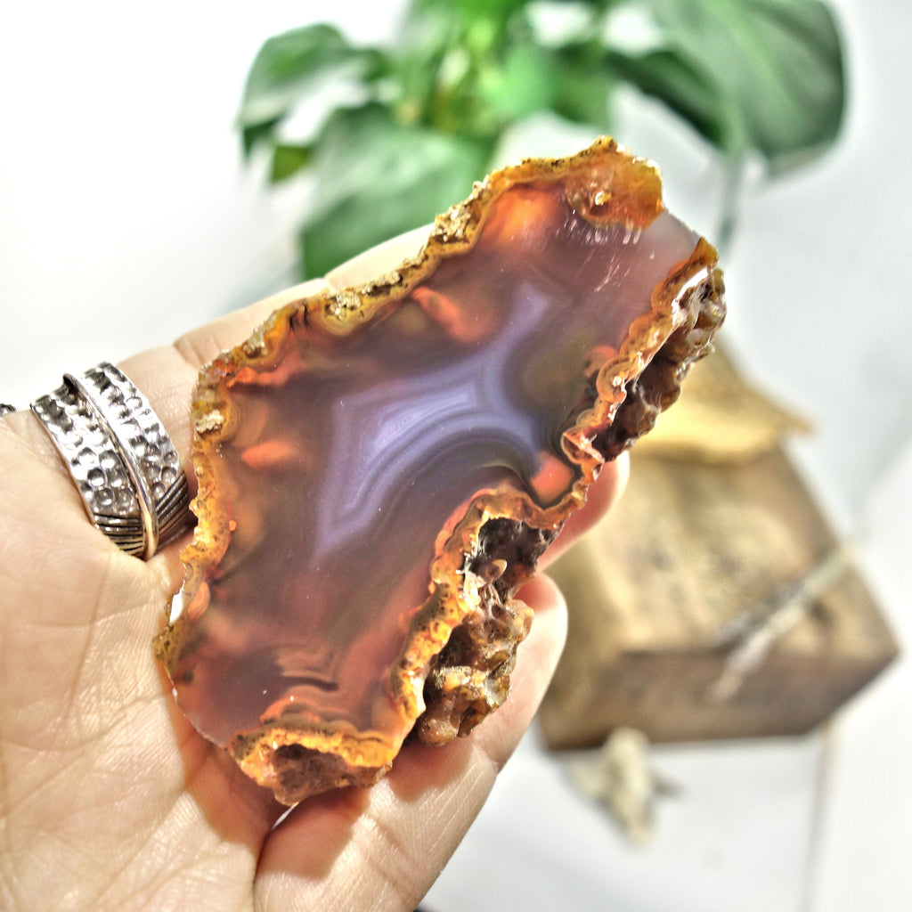 Deep Orange Condor Agate Partially Polished Specimen - Earth Family Crystals