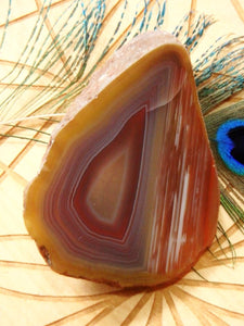 Stunning Australian Horizon Agate Partially Polished Specimen - Earth Family Crystals