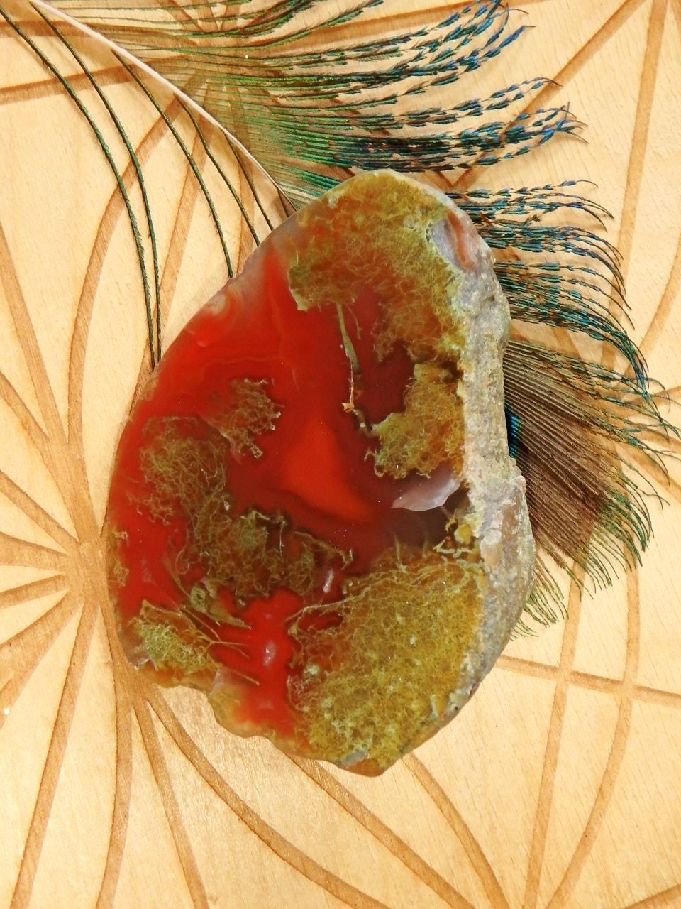 Fiery Red Australian Agate Partially Polished Specimen - Earth Family Crystals