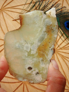 Shiny Australian Mint Green Prehnite Slice~Perfect For Healing Work! - Earth Family Crystals