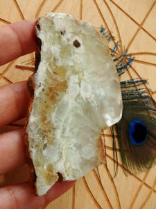 Shiny Australian Mint Green Prehnite Slice~Perfect For Healing Work! - Earth Family Crystals