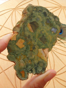 Australian Rainforest Jasper (Spherulitic Rhyolite ) Partially Polished Specimen From Mnt Hay - Earth Family Crystals