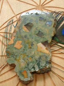 Australian Rainforest Jasper (Spherulitic Rhyolite ) Partially Polished Specimen From Mnt Hay - Earth Family Crystals