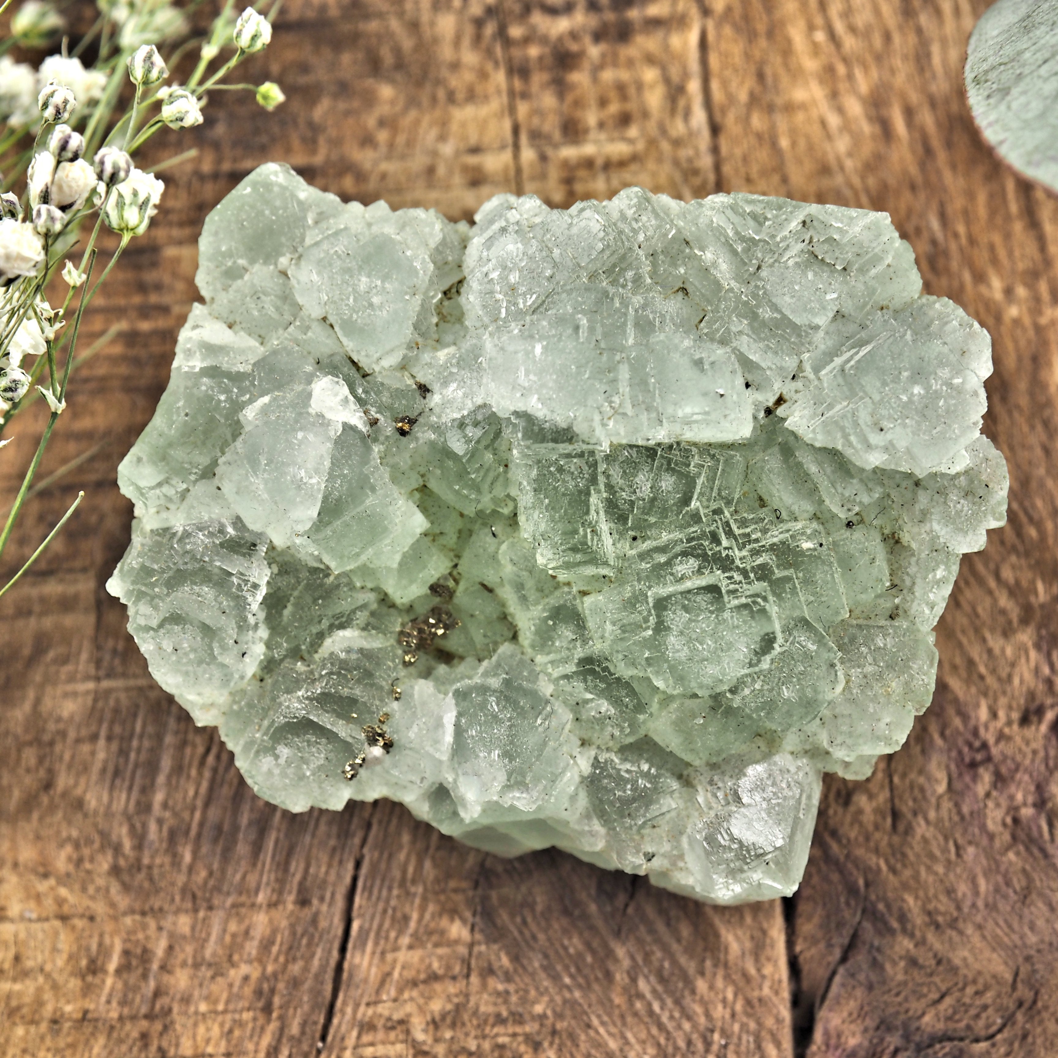 Raw Green Fluorite With Pyrite Inclusions #2 - Earth Family Crystals