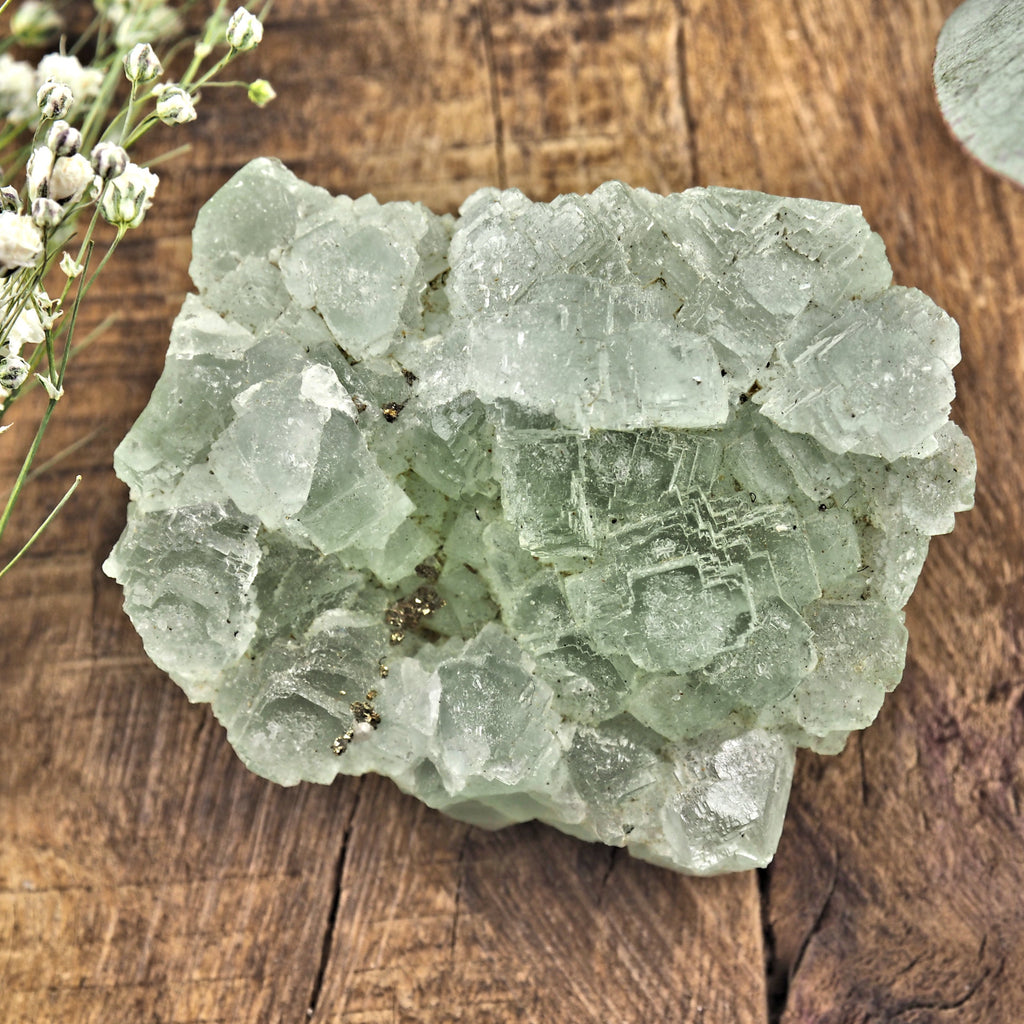 Raw Green Fluorite With Pyrite Inclusions #2 - Earth Family Crystals