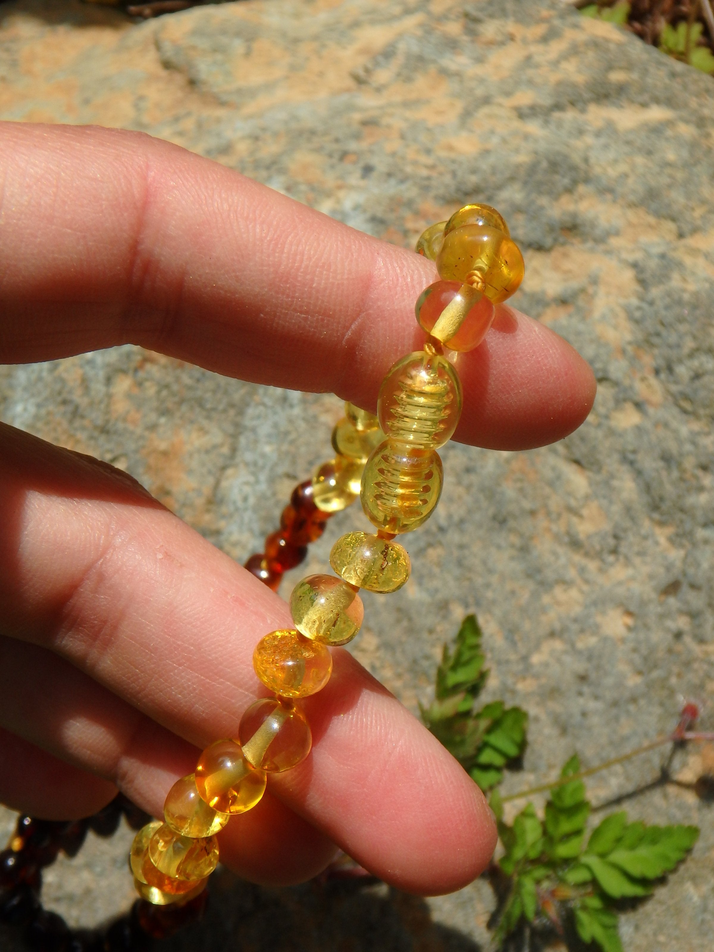 Vibrant Rainbow Beads Lithuanian Baltic Amber Adult Necklace - Earth Family Crystals