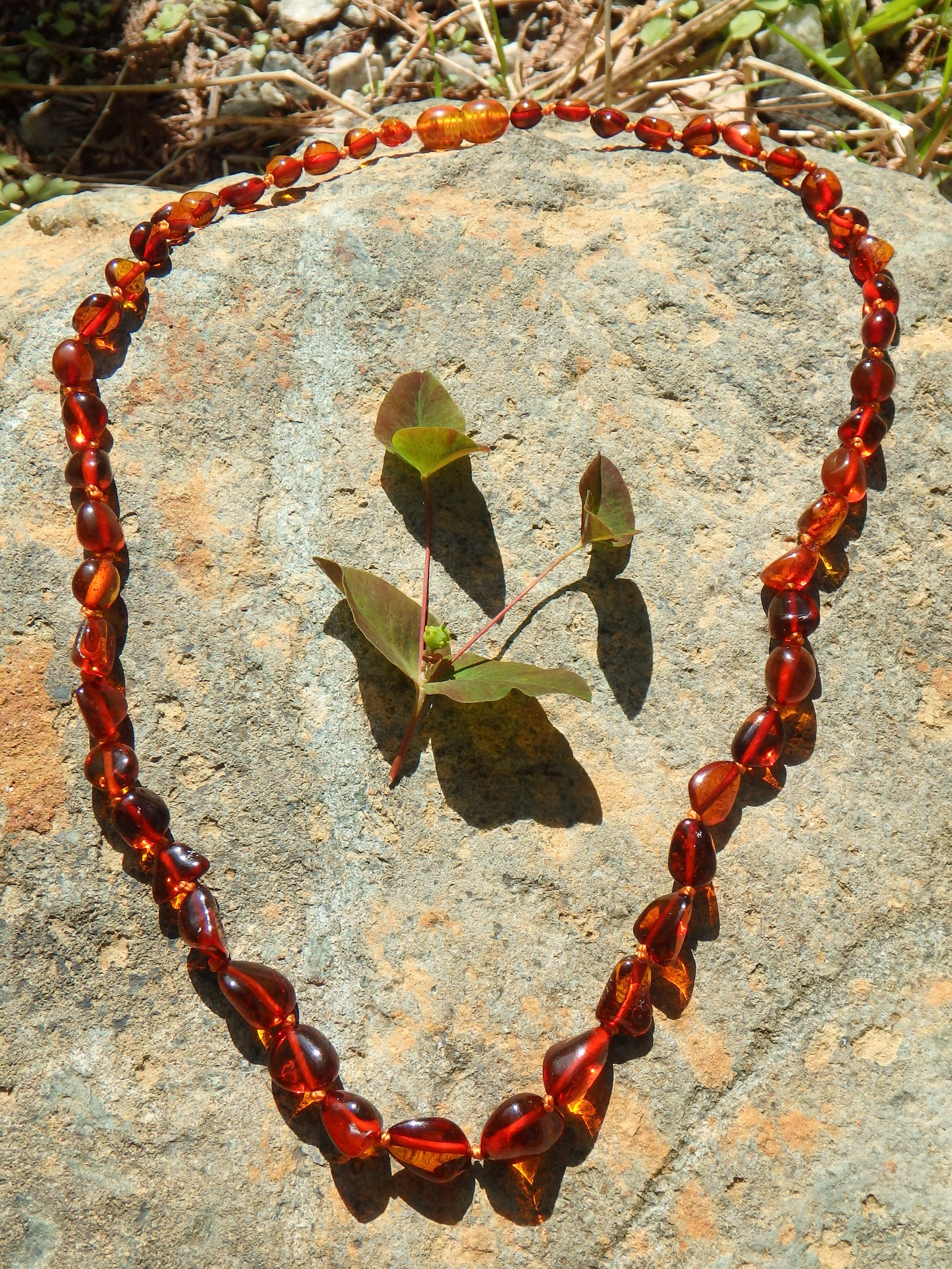 Vibrant Cognac Lithuanian Baltic Amber Adult Necklace - Earth Family Crystals