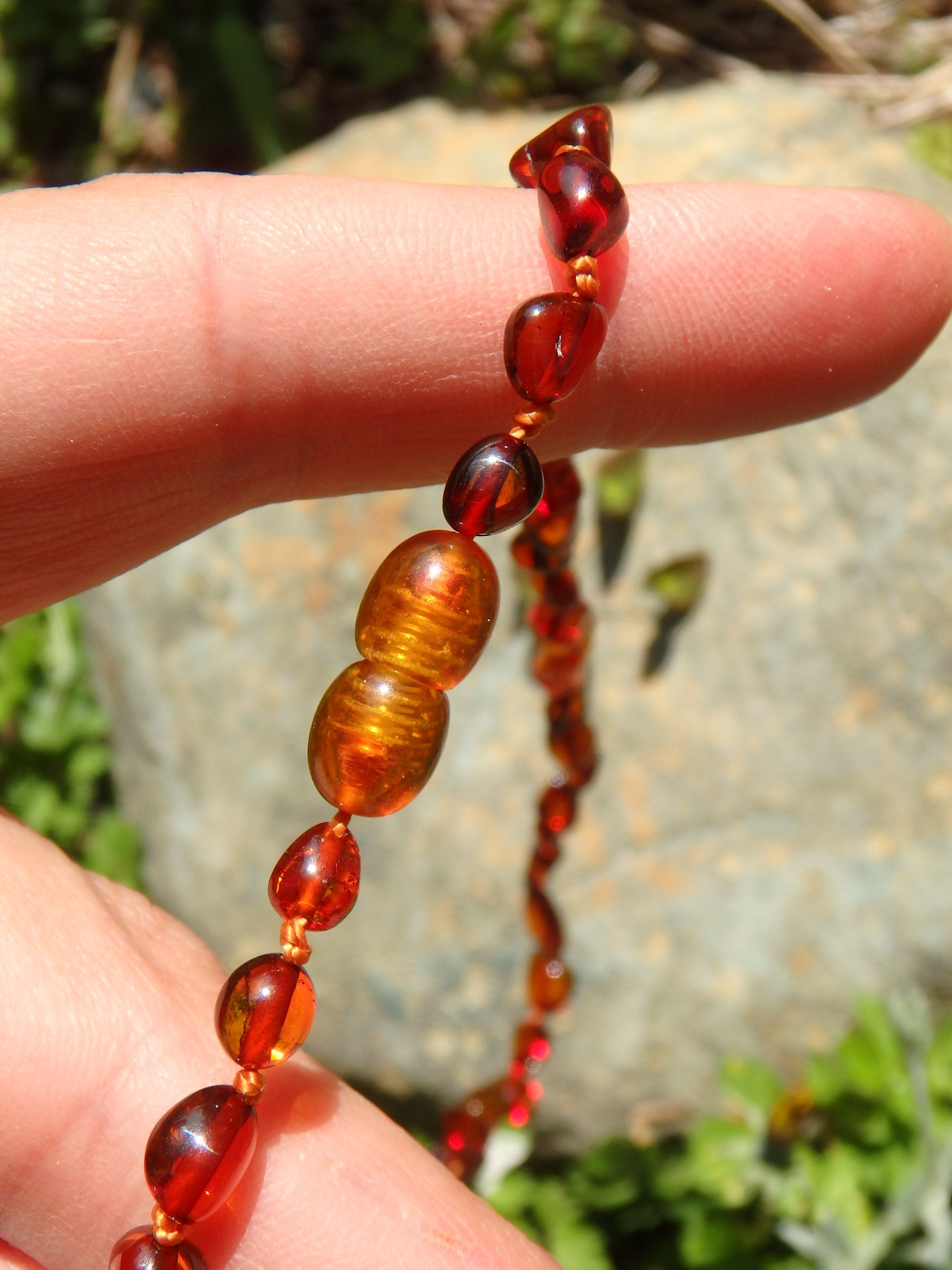 Vibrant Cognac Lithuanian Baltic Amber Adult Necklace - Earth Family Crystals