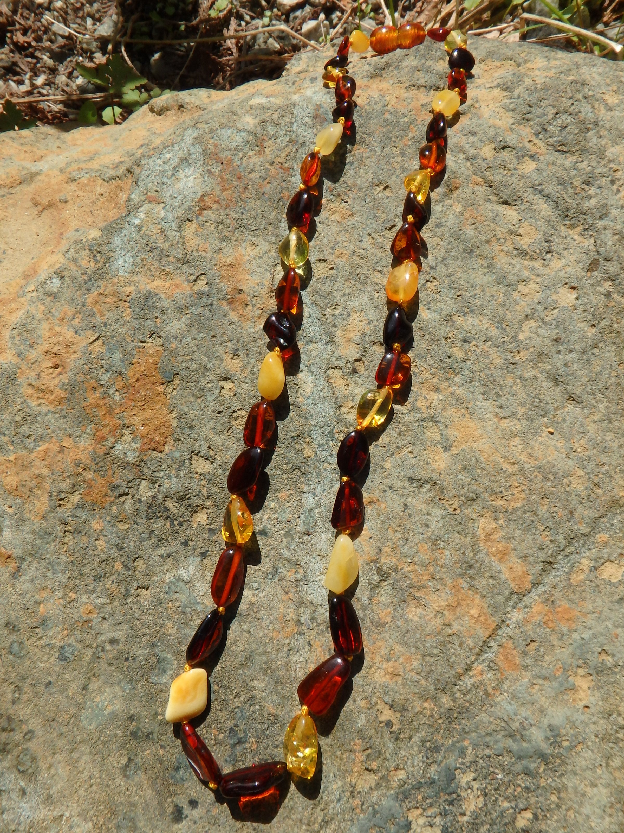 Vibrant Multi Color Lithuanian Baltic Amber Adult Necklace - Earth Family Crystals