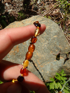 Vibrant Multi Color Lithuanian Baltic Amber Adult Necklace - Earth Family Crystals