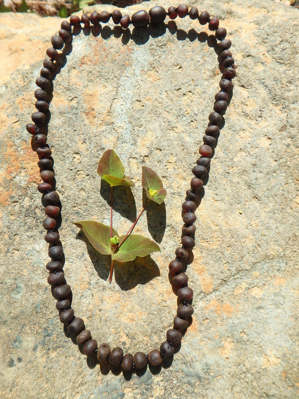 Deep Burgundy Unpolished Lithuanian Baltic Amber Adult Necklace With Rounded Beads - Earth Family Crystals