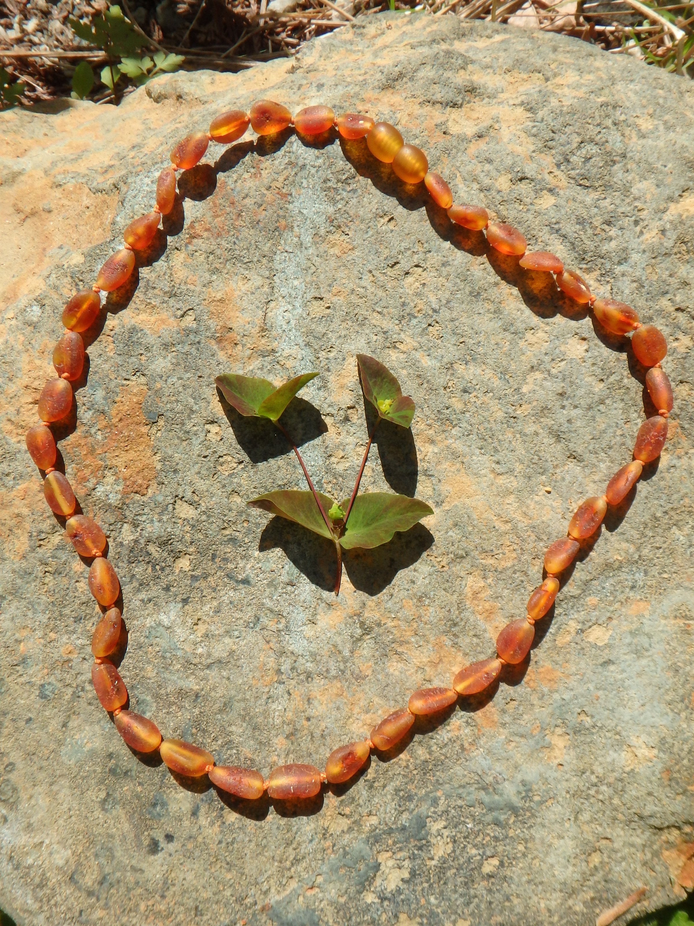 Unpolished Cognac Lithuanian Baltic Amber Adult Necklace - Earth Family Crystals