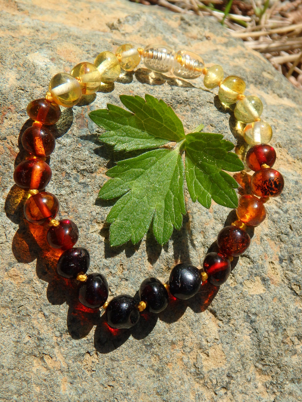 Rainbow Lithuanian Baltic Amber Bracelet on Silk thread with Screw Clasp - Earth Family Crystals