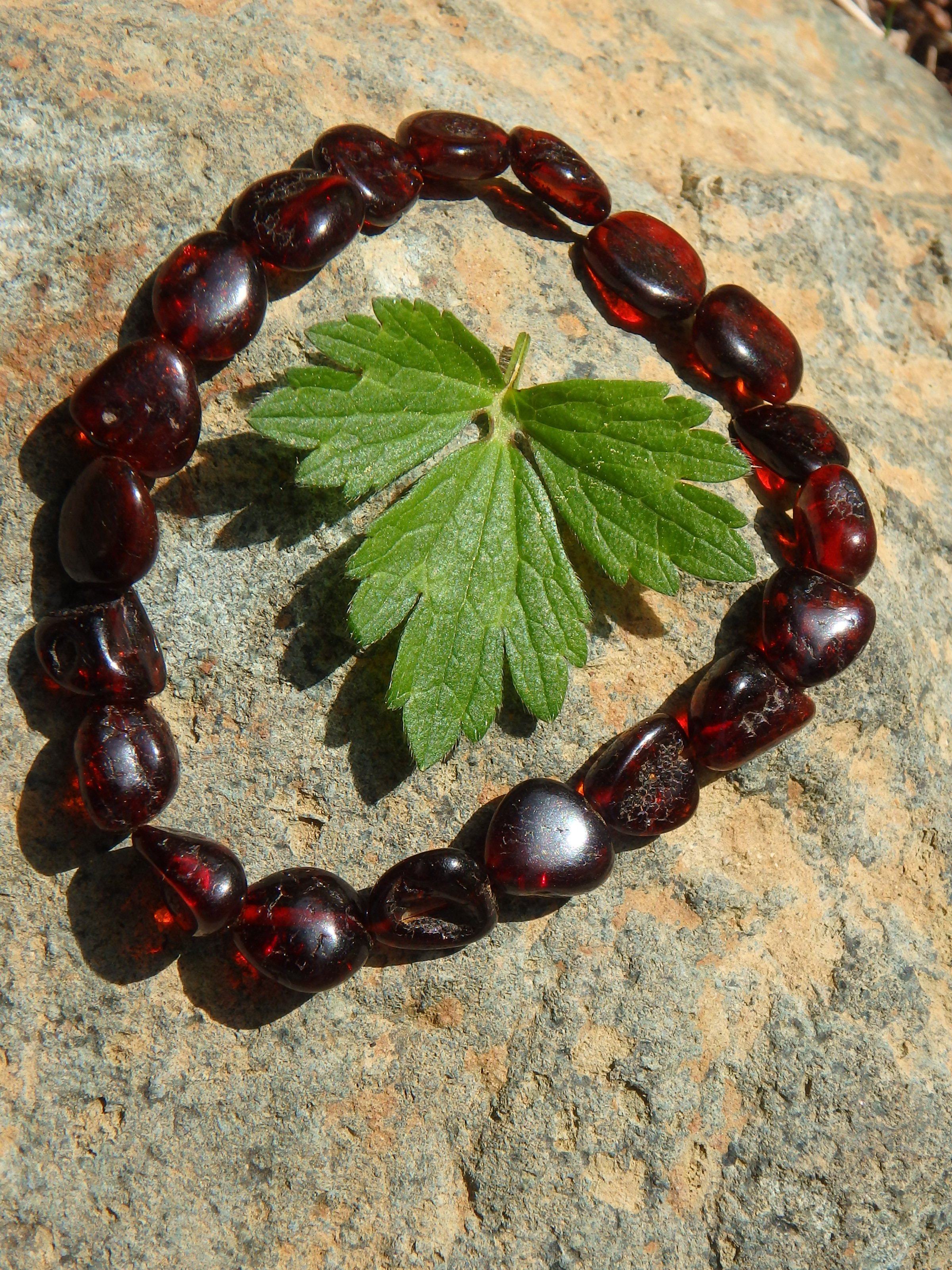 Dark Burgundy Bead Lithuanian Baltic Amber Bracelet on Stretchy Elastic