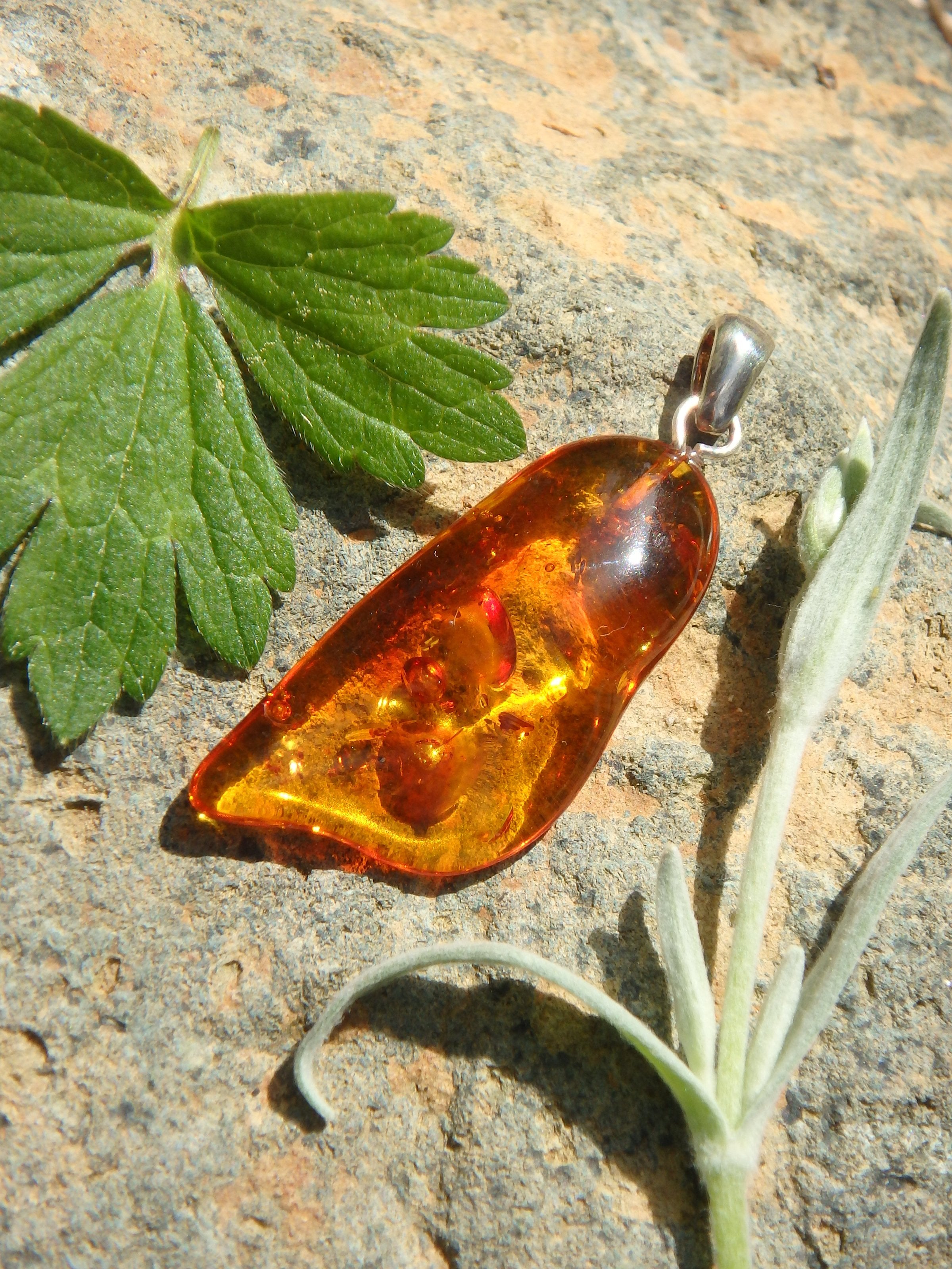 Vibrant Cognac Lithuanian Baltic Amber Pendant in Sterling Silver ( Includes Silver Chain) 1 - Earth Family Crystals