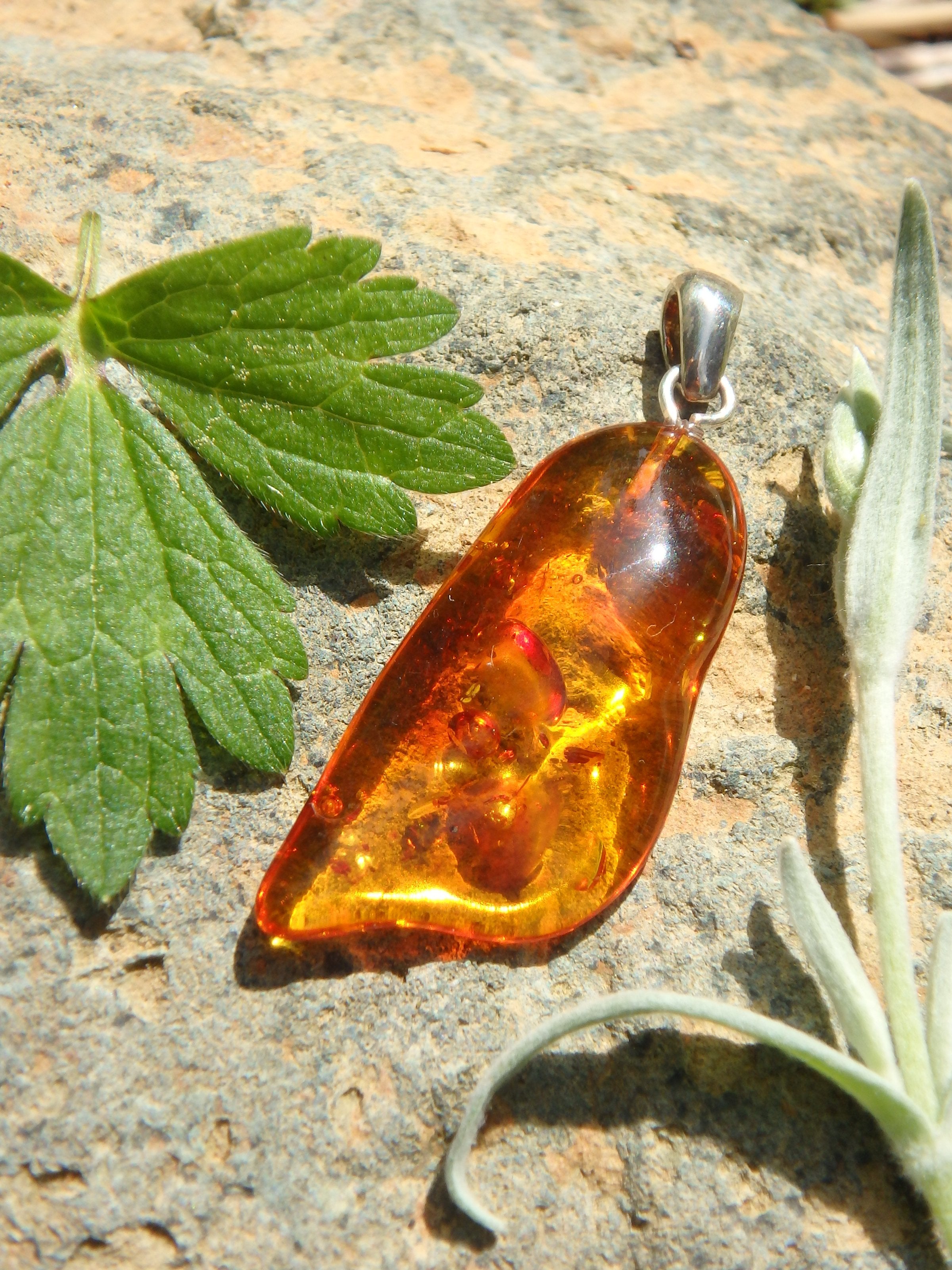 Vibrant Cognac Lithuanian Baltic Amber Pendant in Sterling Silver ( Includes Silver Chain) 1 - Earth Family Crystals