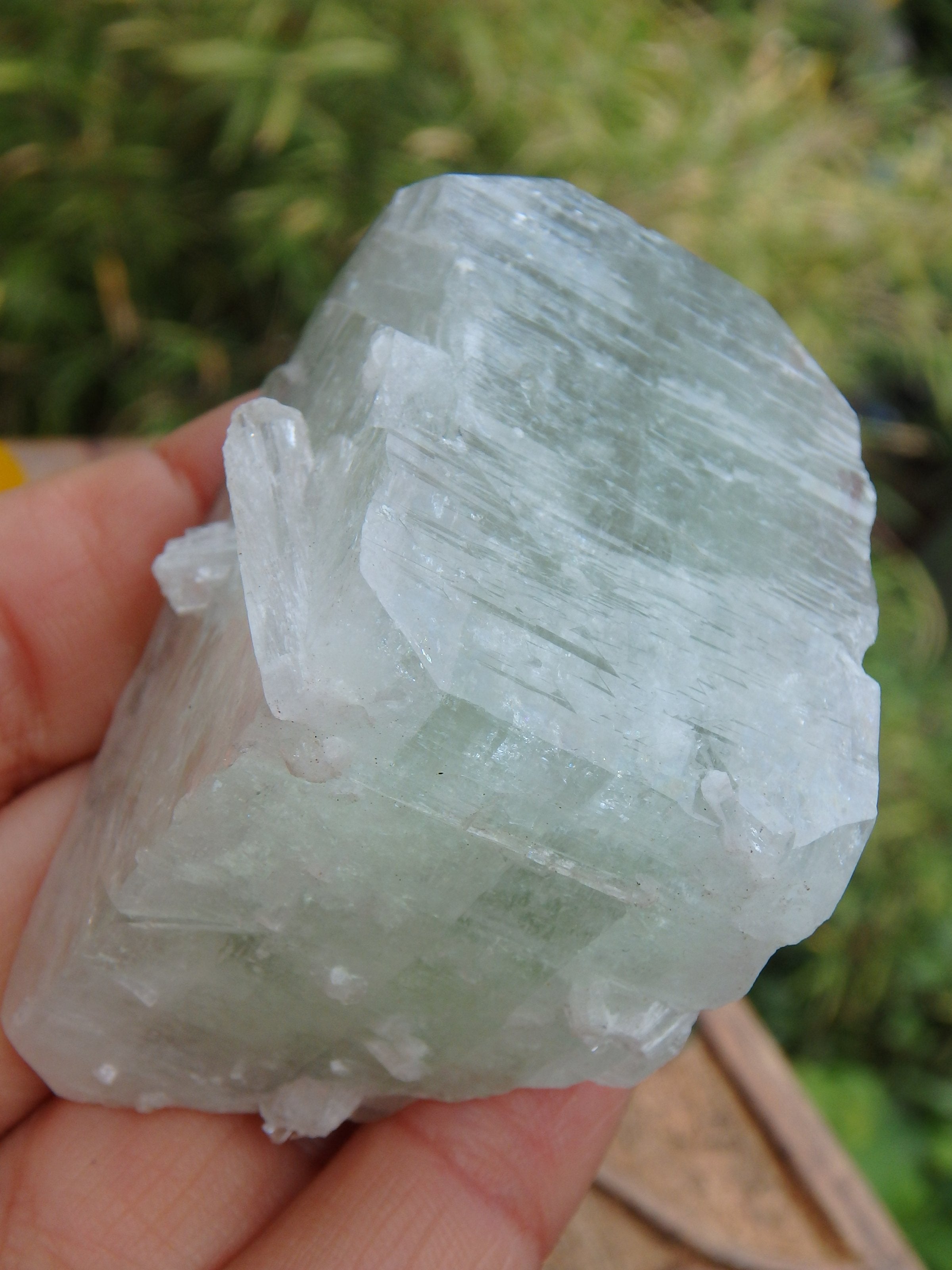 Rare Spring Green Apophyllite Natural Specimen From India