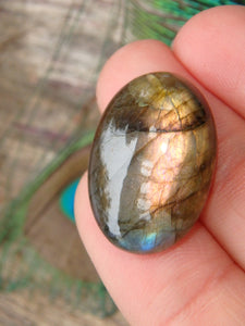 Rare Pink Peek a Boo Flashes Labradorite Cabochon - Earth Family Crystals