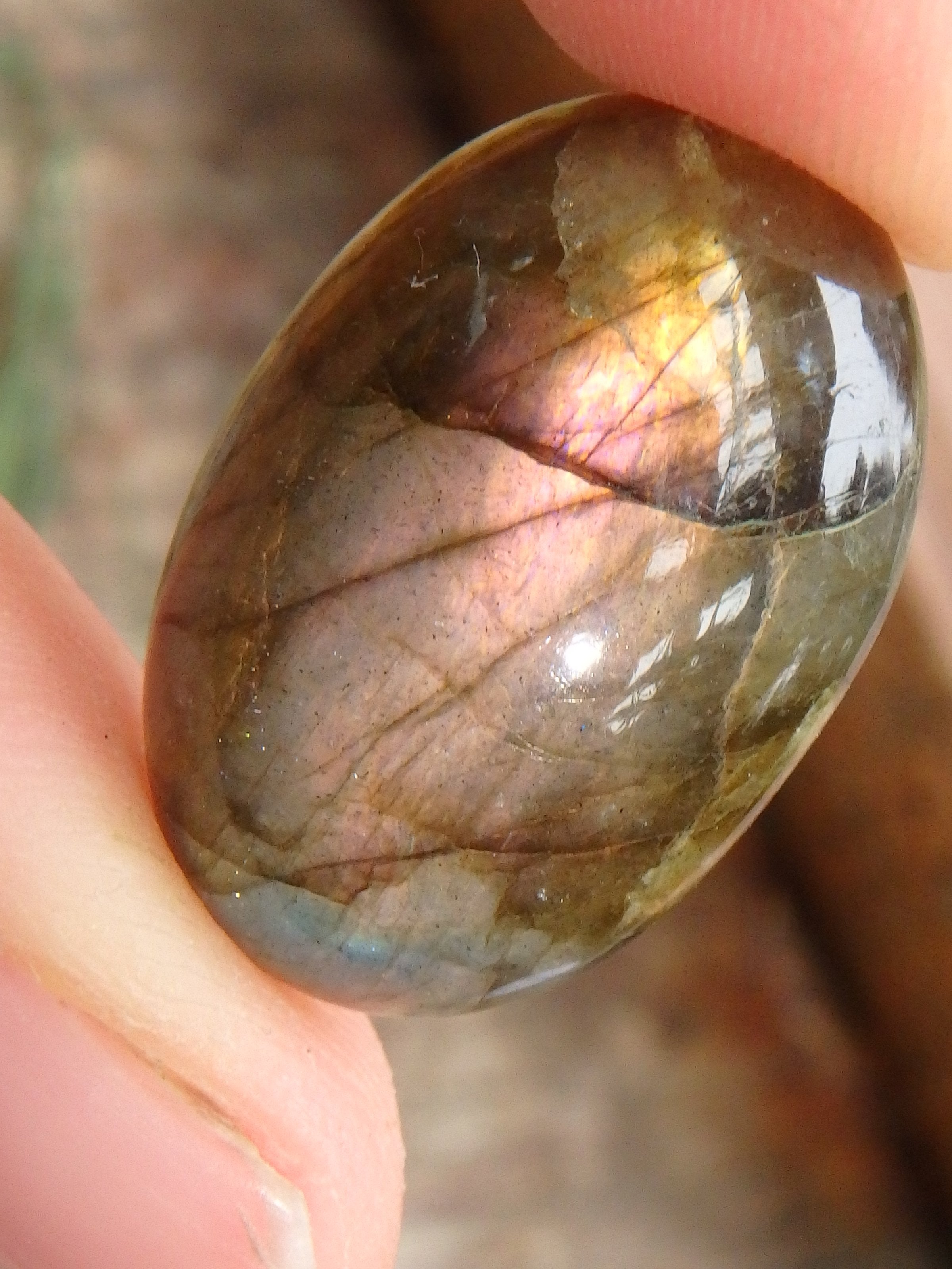 Rare Pink Peek a Boo Flashes Labradorite Cabochon - Earth Family Crystals