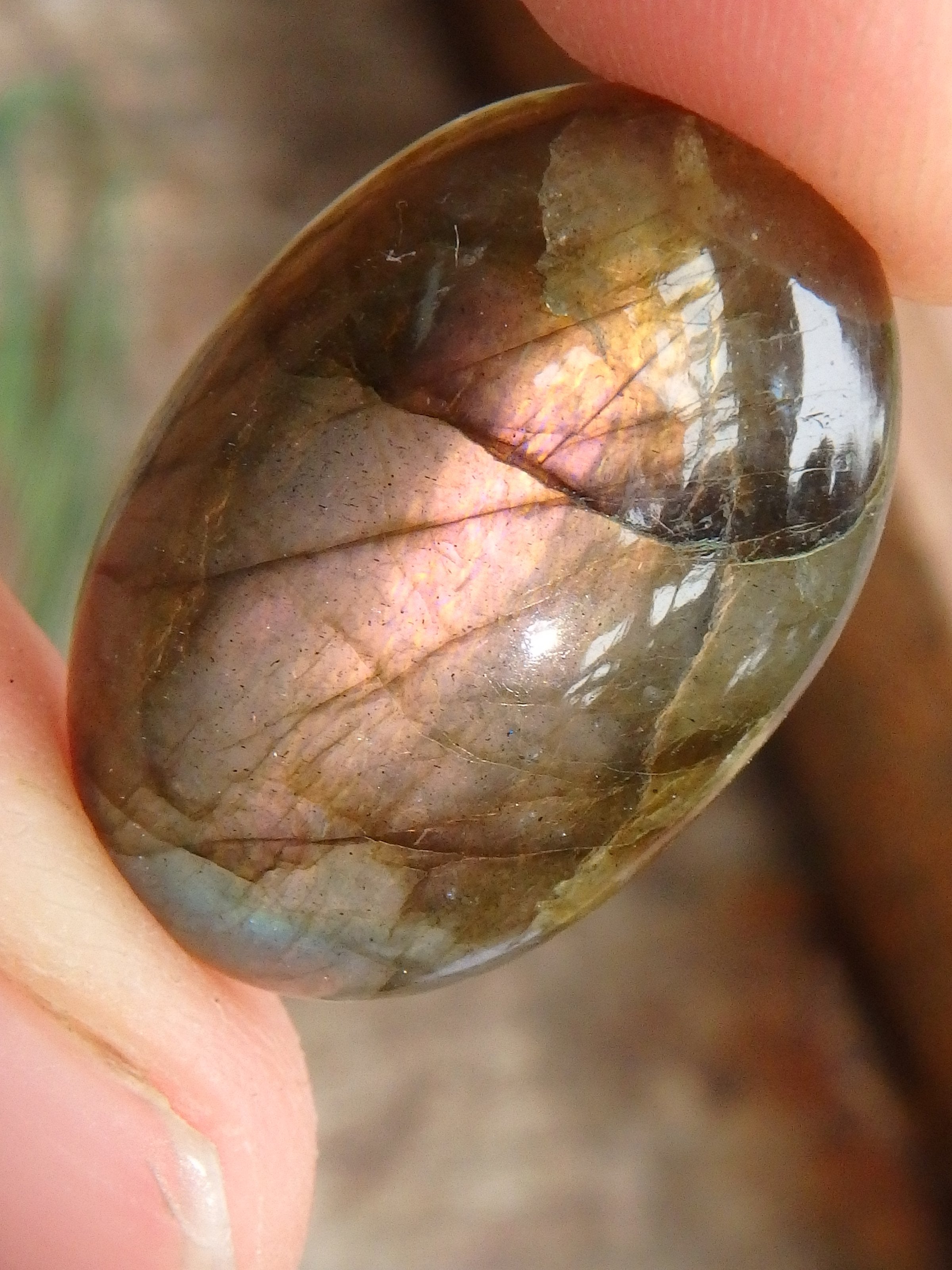 Rare Pink Peek a Boo Flashes Labradorite Cabochon - Earth Family Crystals