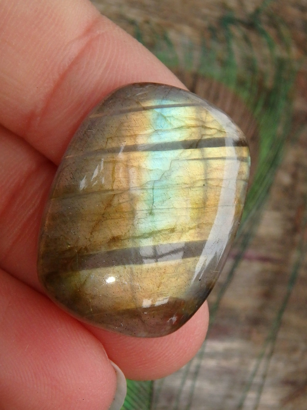 Ribbons & Peachy Gold Flash Labradorite Cabochon - Earth Family Crystals