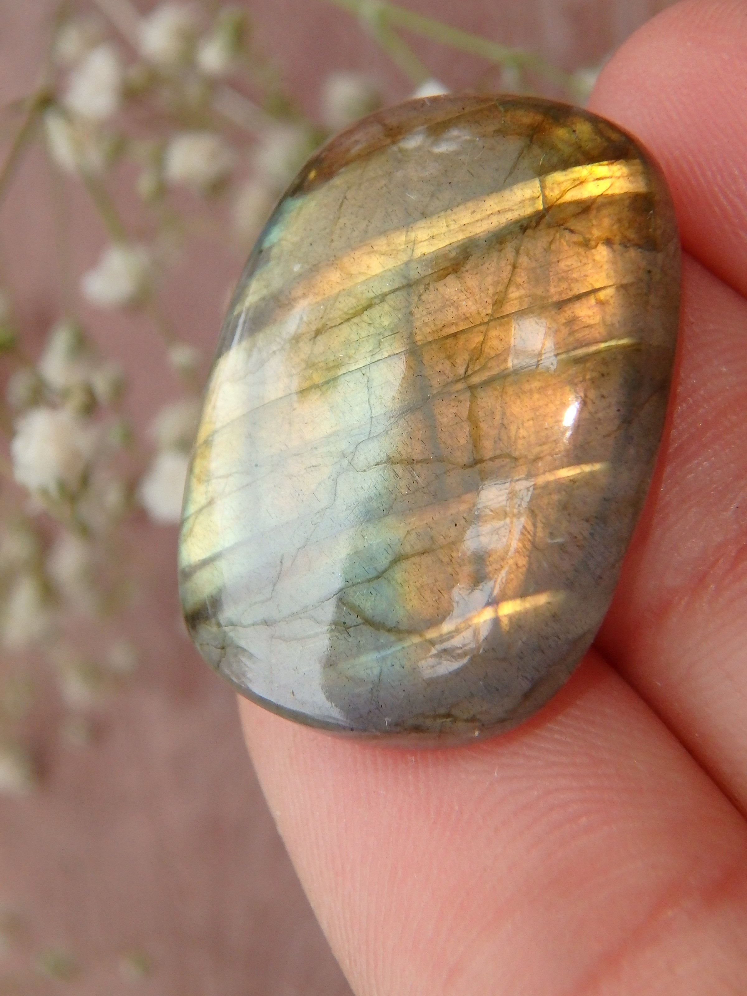 Ribbons & Peachy Gold Flash Labradorite Cabochon - Earth Family Crystals