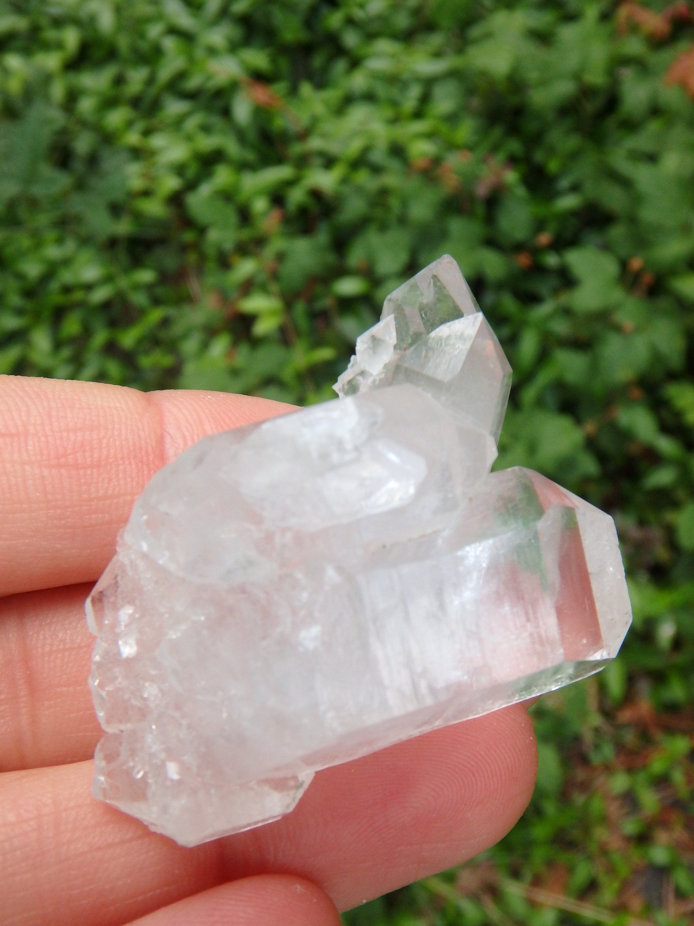 Unique Intertwined Points Blue Phantom Quartz With Elestial, DT & Self Healing Specimen - Earth Family Crystals