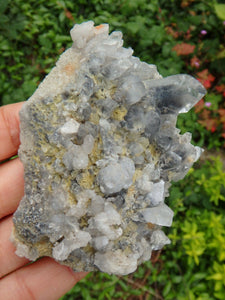 Arkansas Blue Phantom Multi Point Cluster Display Specimen 1 - Earth Family Crystals