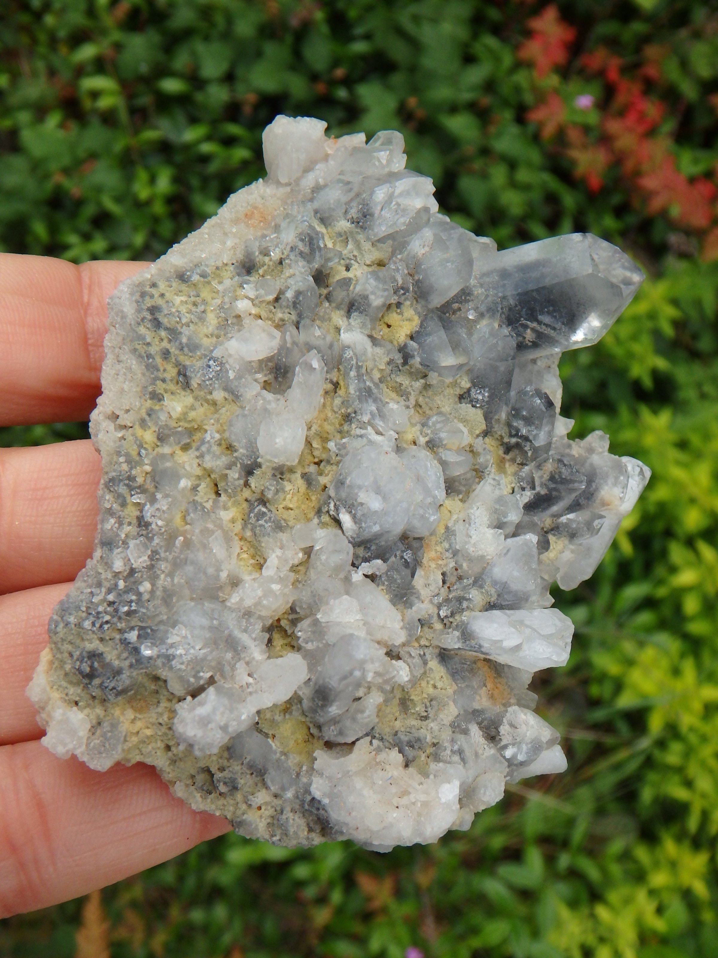 Arkansas Blue Phantom Multi Point Cluster Display Specimen 1 - Earth Family Crystals