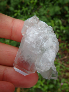 Unique Intertwined Points Blue Phantom Quartz With Elestial, DT & Self Healing Specimen - Earth Family Crystals