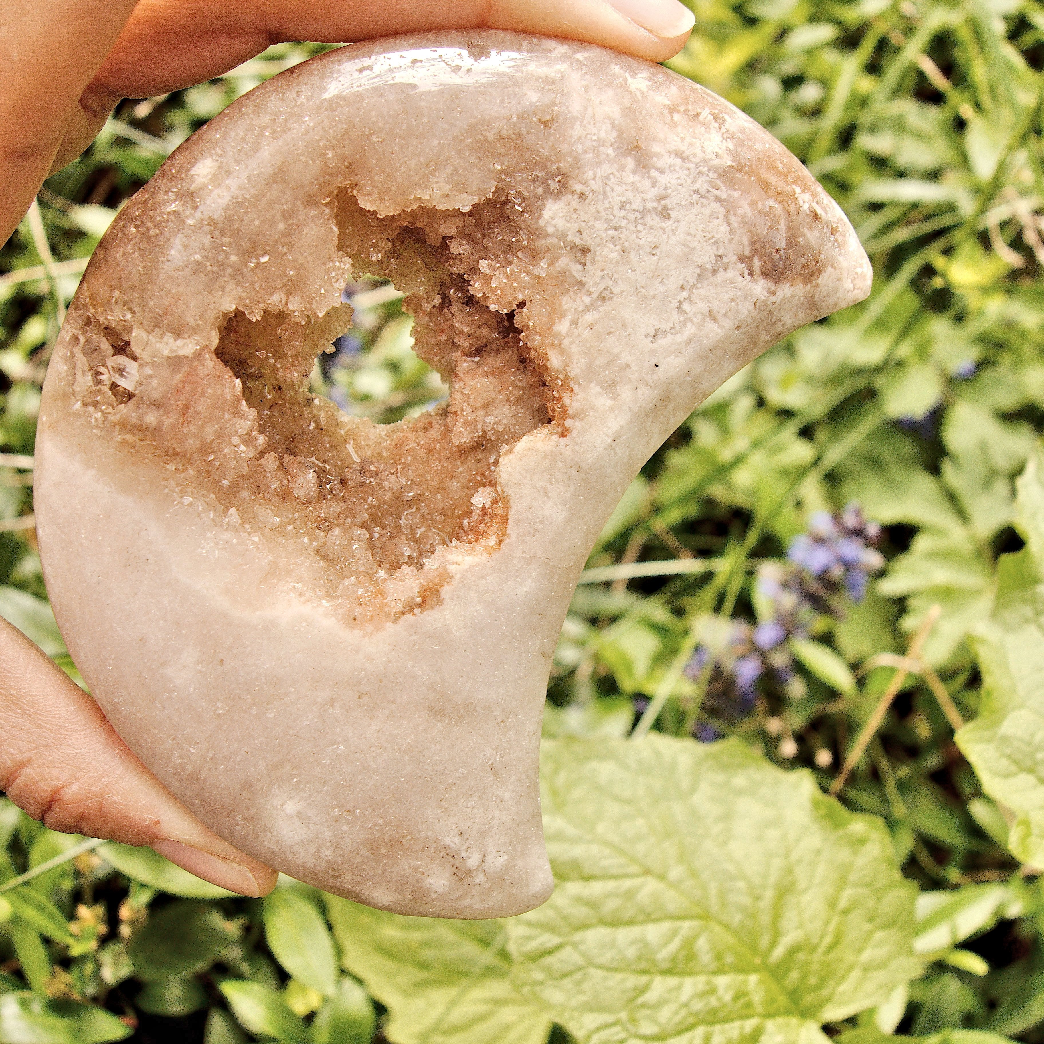 Rare Find! Incredible Large Druzy Geode Pink Amethyst Crescent Moon Carving From Patagonia #2 - Earth Family Crystals