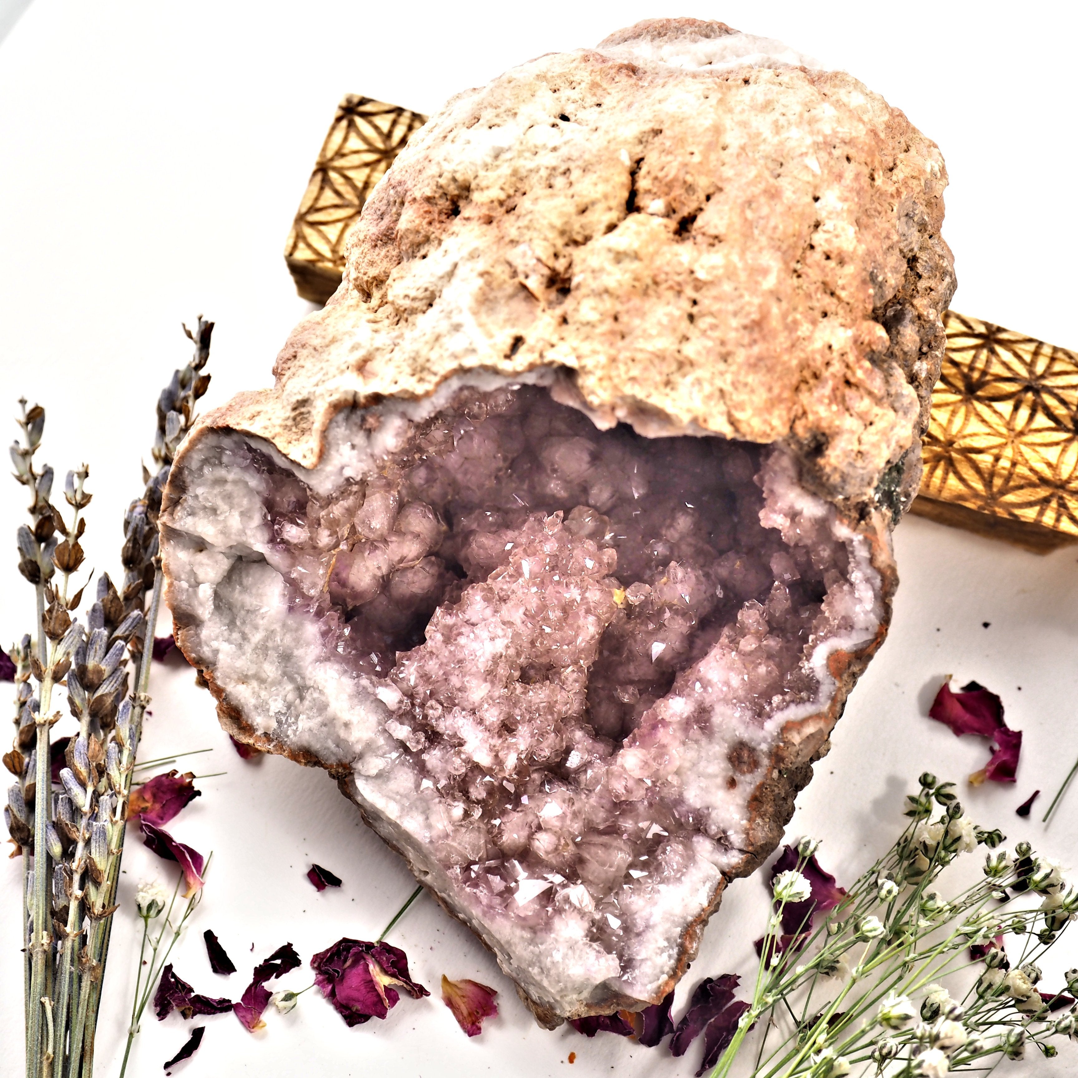 XL Deep Cave Druzy Geode Pink Amethyst Display specimen From Patagonia - Earth Family Crystals