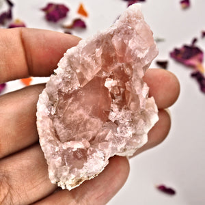 Pretty Pink Amethyst Geode Specimen From Patagonia #1 - Earth Family Crystals