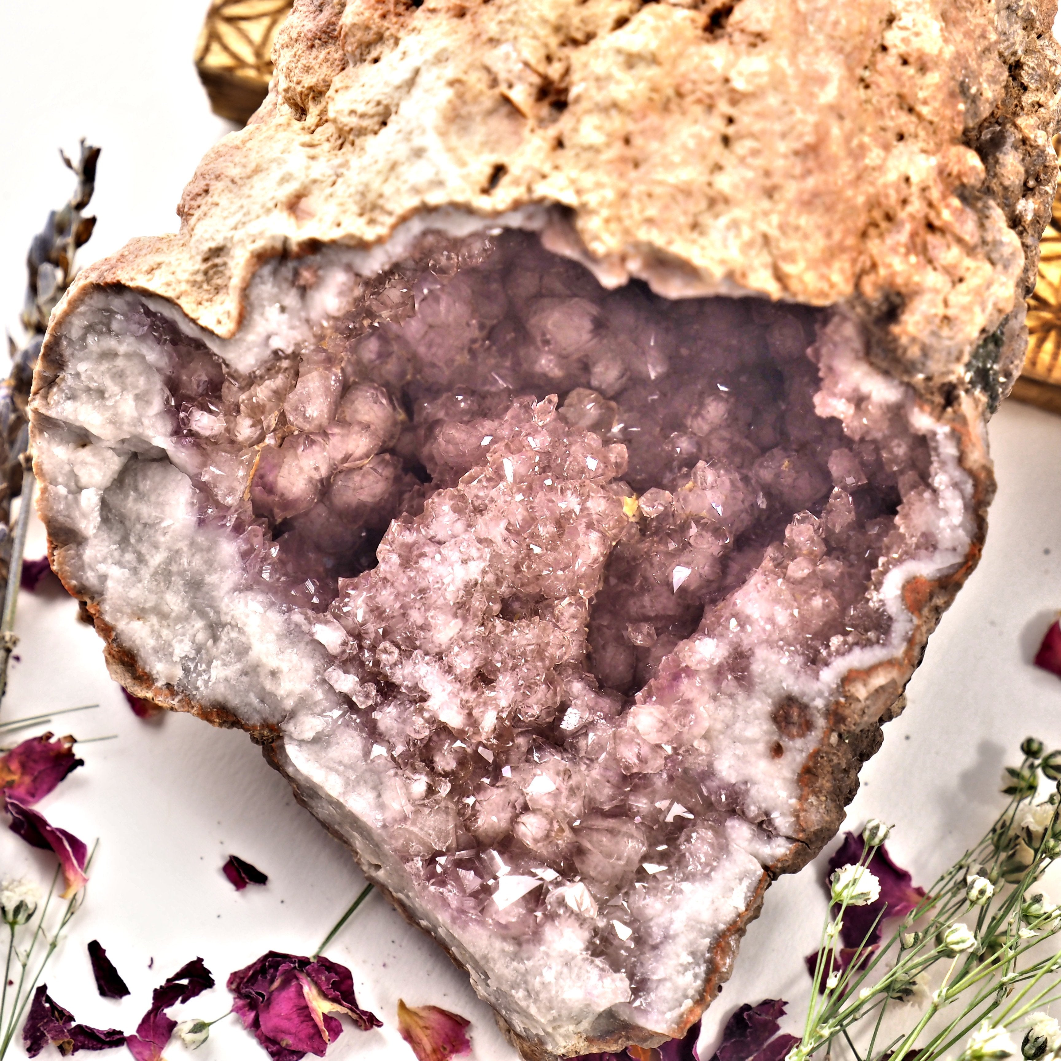 XL Deep Cave Druzy Geode Pink Amethyst Display specimen From Patagonia - Earth Family Crystals