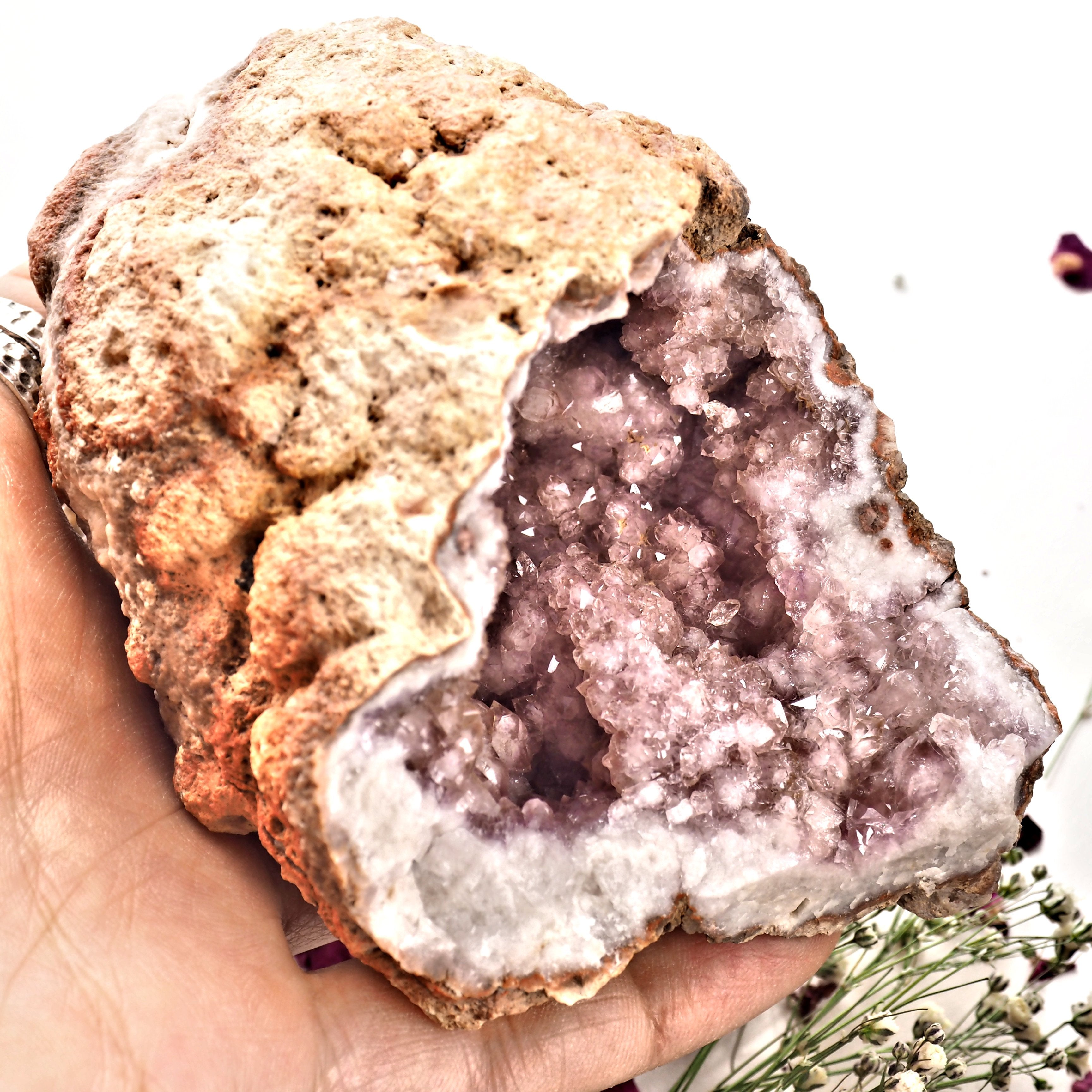 XL Deep Cave Druzy Geode Pink Amethyst Display specimen From Patagonia - Earth Family Crystals