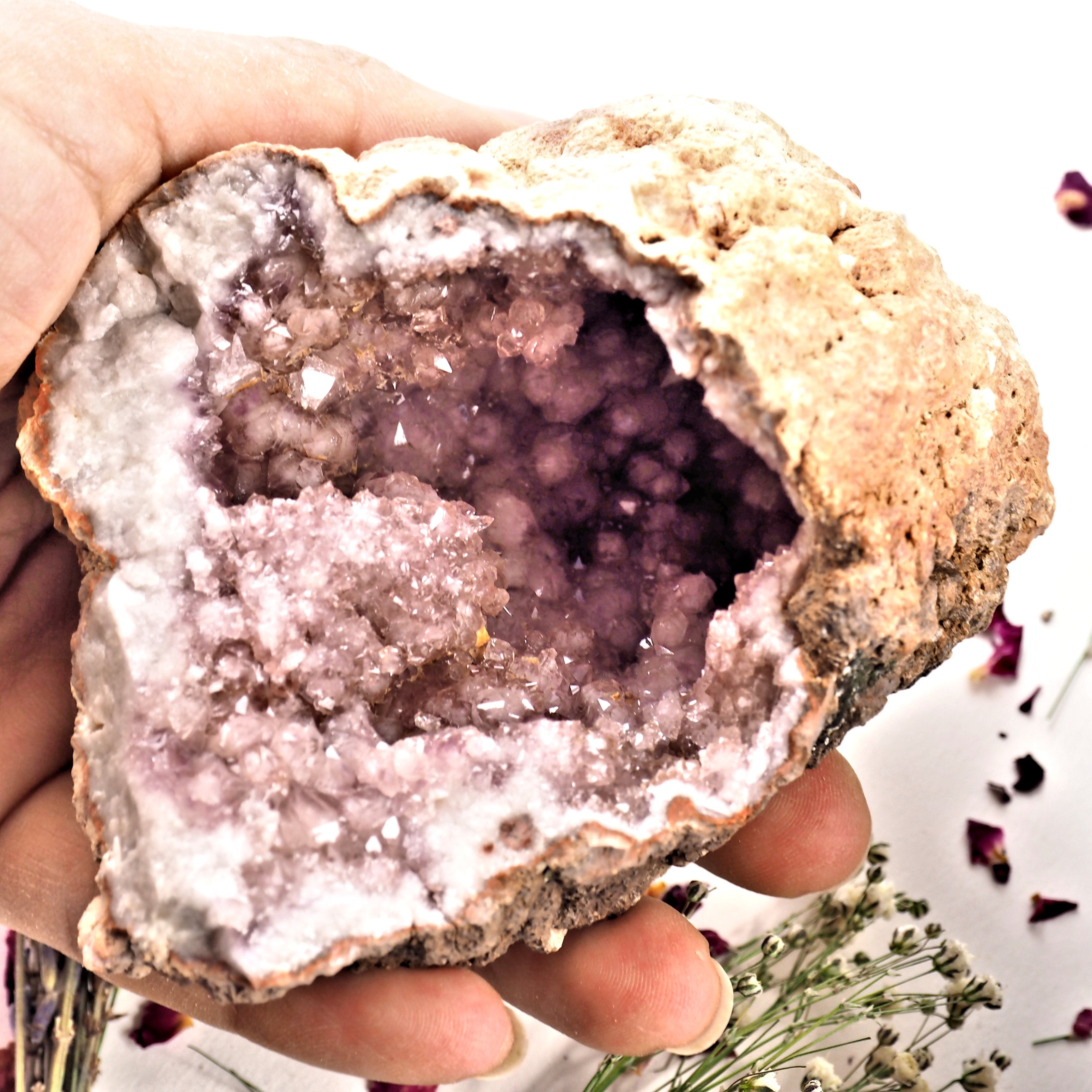 XL Deep Cave Druzy Geode Pink Amethyst Display specimen From Patagonia - Earth Family Crystals