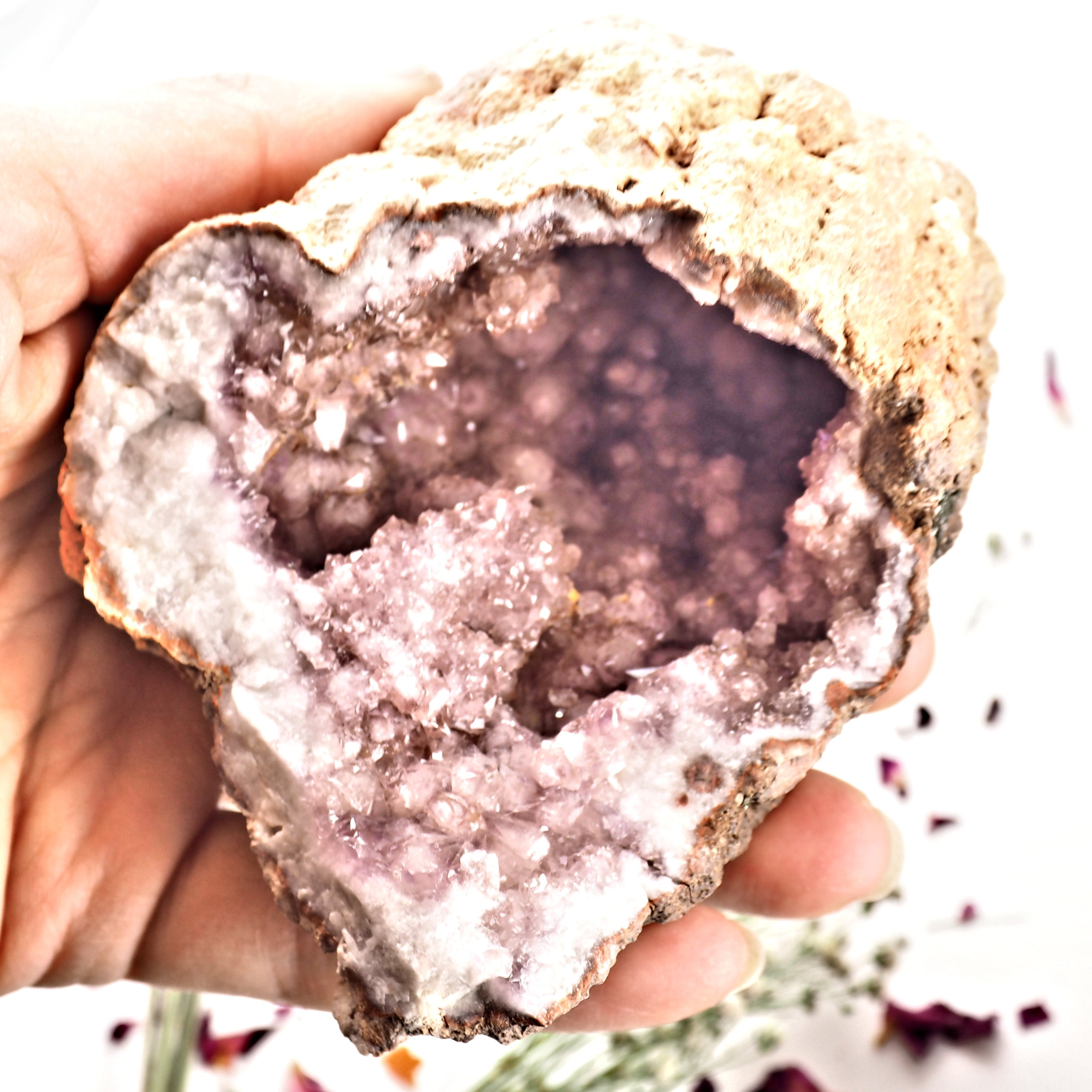 XL Deep Cave Druzy Geode Pink Amethyst Display specimen From Patagonia - Earth Family Crystals