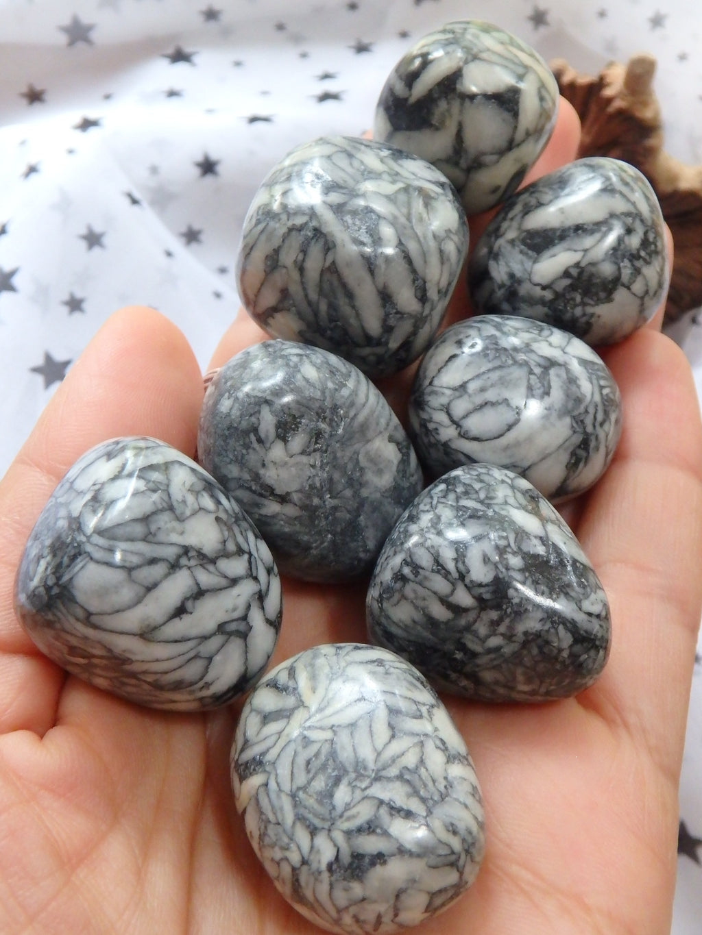 Rare Pinolith Tumbled Stone From Austria (1) - Earth Family Crystals