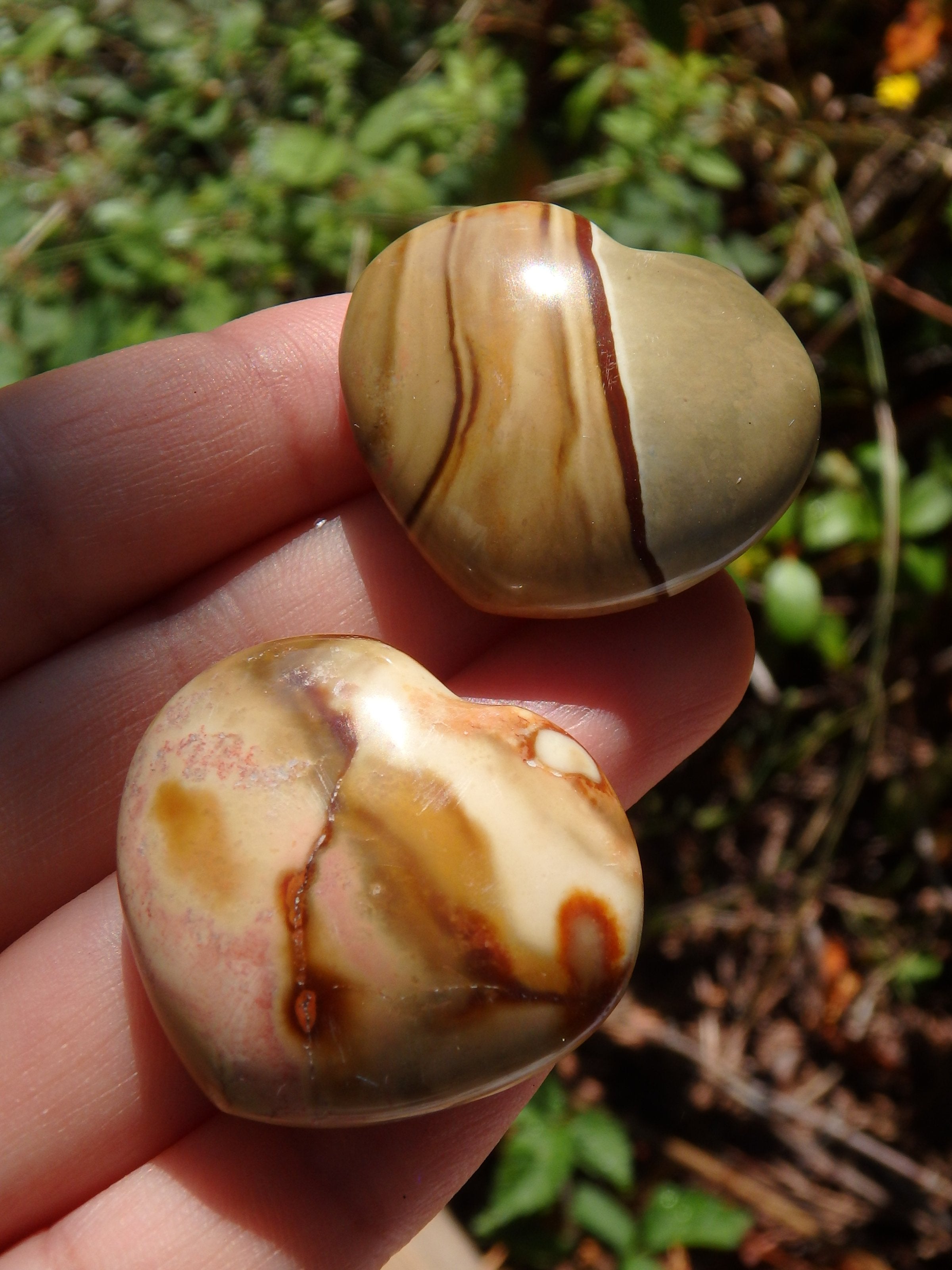 Set of 2~Delightful Colors Polychrome Jasper Small Heart Set 2